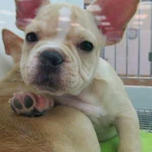 Meet your Posher, Elyse